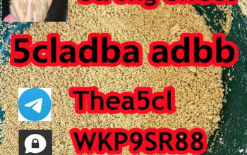 5cladba 5cladb vendor High purity 5CL-ADB