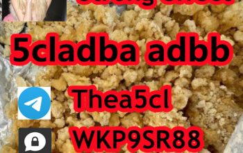 Factory price 5cladba 5cladb on sale 5CL-ADB