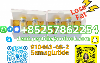 Hot Selling CAS 623172-56-5 Palmitoyl Tripepitde-5