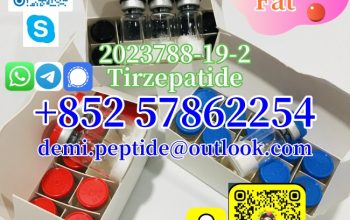 Hot Selling CAS 147732-56-7 Palmitoyl Tripeptide-1