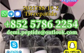 bodybuilding Peptides CAS 2023788-19-2 Tirzepatide