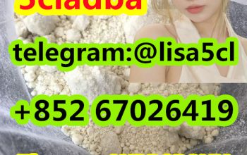 5CL-ADB supplier 5cladba 5cladb China supplier