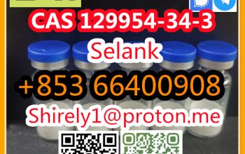 CAS 129954-34-3 Selank high quality good price