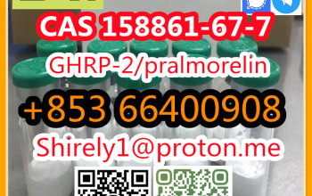 CAS 158861-67-7 Pralmorelin high quality