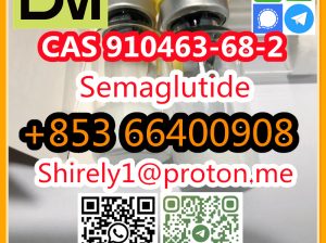 CAS 910463-68-2 Semaglutide high quality