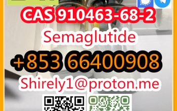 CAS 910463-68-2 Semaglutide high quality