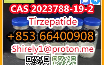 CAS 2023788-19-2 Tirzepatide high quality