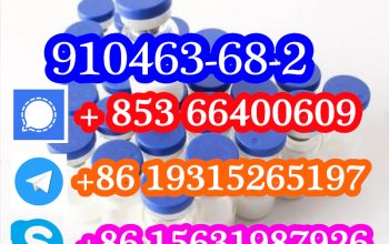 CAS 910463-68-2 索马鲁肽
