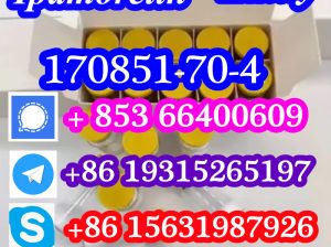 Ipamorelin CAS 170851-70-4