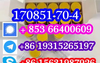 Ipamorelin CAS 170851-70-4