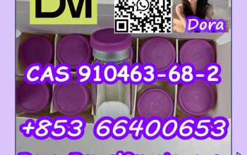 Semaglutide CAS 910463-68-2