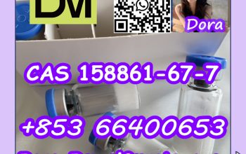 Pralmorelin CAS 158861-67-7