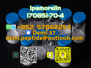 Semaglutide Powder Semaglutide CAS 910463-68-2