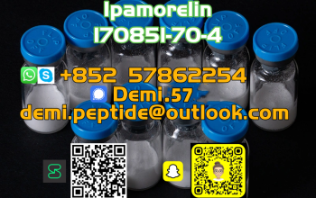 Semaglutide Powder Semaglutide CAS 910463-68-2