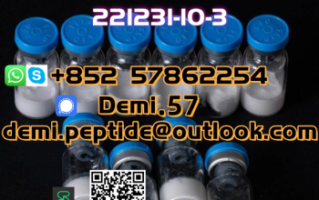 High Quality Cagrilintide Powder Cagrilintide CAS