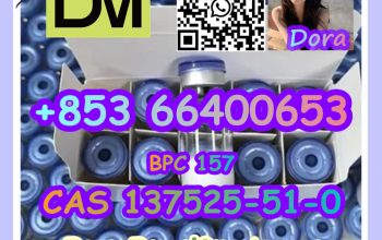 BPC157 CAS 137525-51-0