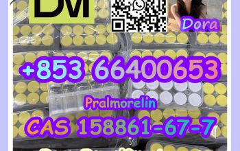Pralmorelin CAS 158861-67-7