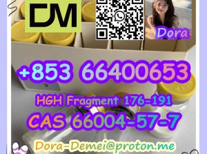 HGH Fragment 176-191 CAS 66004-57-7