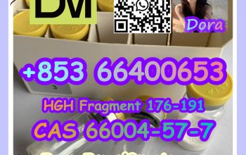 HGH Fragment 176-191 CAS 66004-57-7