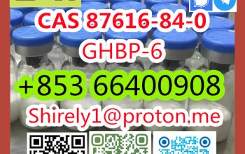 CAS 87616-84-0 GHBP-6 high quality good price