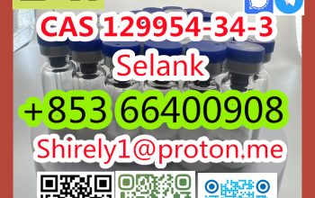 CAS 129954-34-3 Selank high quality good price