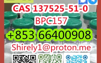 CAS 137525-51-0 BPC 157 high quality good price