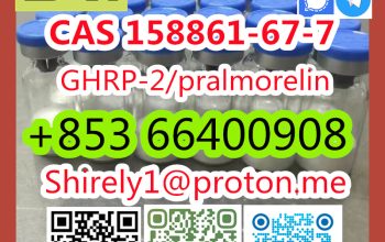 CAS 158861-67-7 Pralmorelin high quality