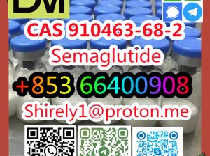 CAS 910463-68-2 Semaglutide high quality