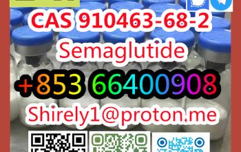 CAS 910463-68-2 Semaglutide high quality