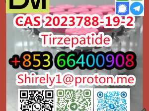 CAS 2023788-19-2 Tirzepatide high quality