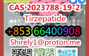 CAS 2023788-19-2 Tirzepatide high quality