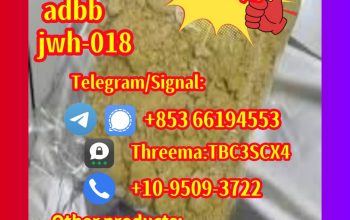 raw material ,+85366194553,5cladba,adbb,Protonitaz