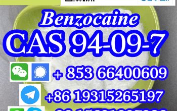 CAS 94-09-7 Benzocaine