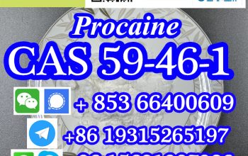 CAS 59-46-1 普鲁卡因中国工厂供应低价高纯度高品质