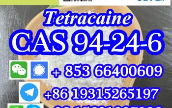 CAS 94-24-6 Tetracaine