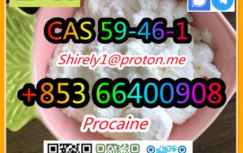 CAS 59-46-1 Procaine with high quality