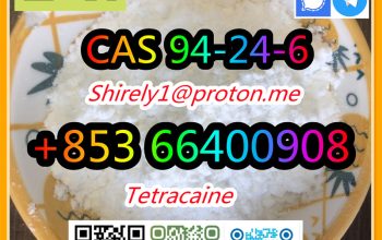 CAS 94-24-6 Tetracaine high quality hot sale stock