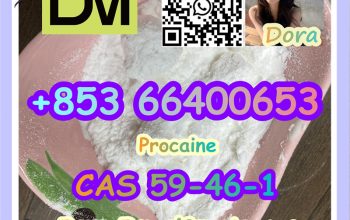 Procaine，CAS 59-46-1
