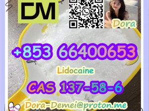Lidocaine，CAS 137-58-6