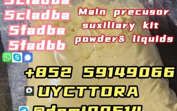 China Factory Supply 5cladba Low Price DMF