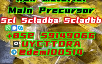 Factory Wholesale 5CLADBA With Good Quality