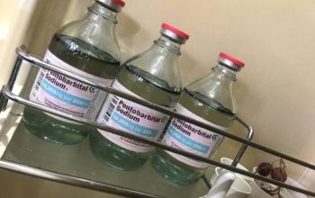 BUY NEMBUTAL ONLINE ,BUY PENTOBARBITAL SODIUM, BUY