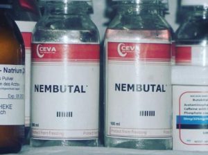 BUY NEMBUTAL ONLINE ,BUY PENTOBARBITAL SODIUM, BUY