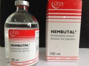BUY NEMBUTAL ONLINE ,BUY PENTOBARBITAL SODIUM, BUY