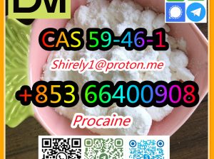 CAS 59-46-1 Procaine with high quality