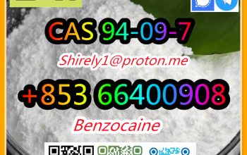CAS 94-09-7 Benzocaine high quality good price