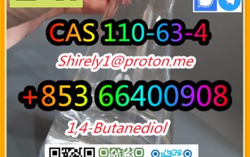 CAS 110-63-4 1,4-Butanediol high quality
