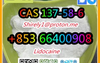 CAS 137-58-6 Lidocaine high quality good price