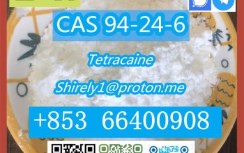 CAS 94-24-6 Tetracaine high quality hot sale stock