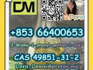 2-Bromo-1-phenyl-pentan-1-one CAS 49851-31-2